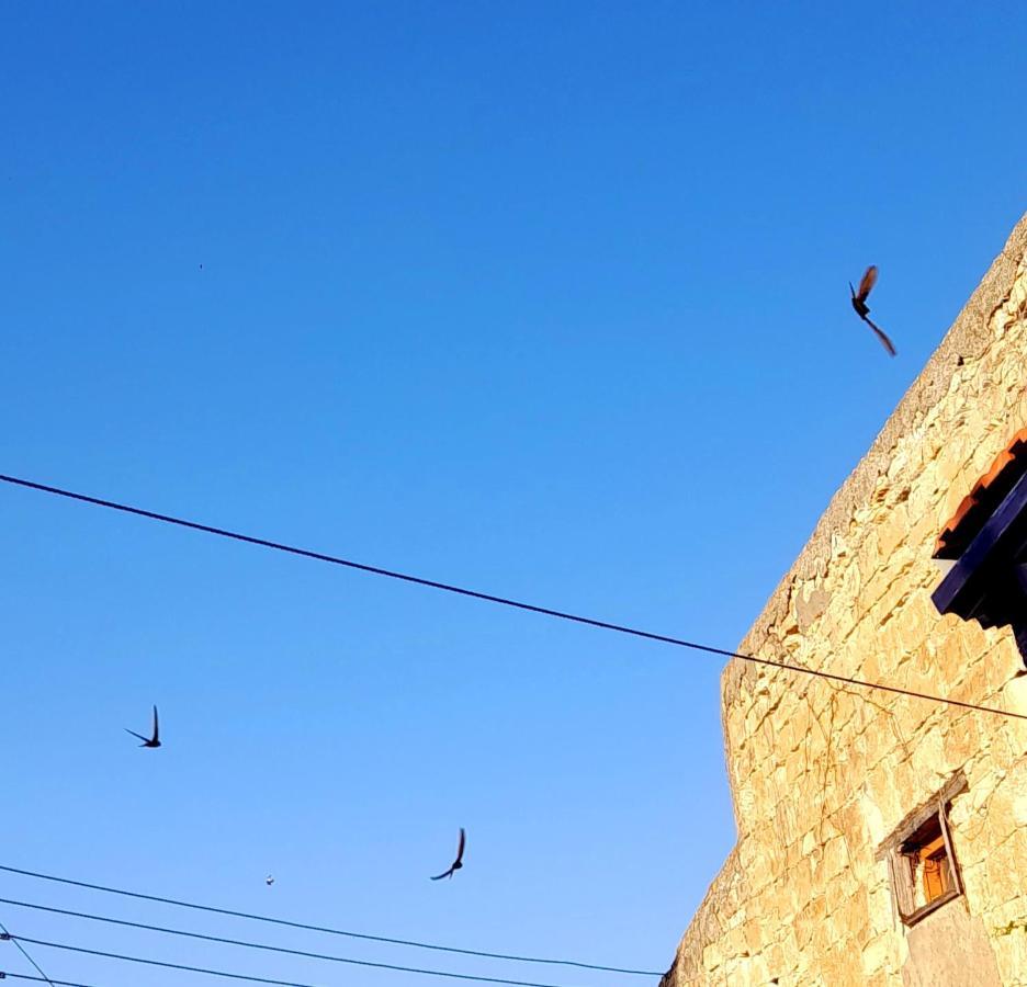 Ble Mavi - Studio For 2 (Adults Only) Omodos Exterior foto