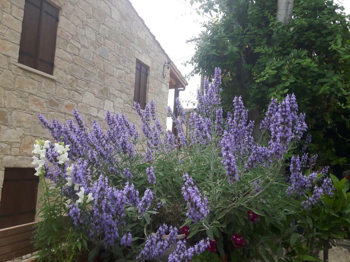 Ble Mavi - Studio For 2 (Adults Only) Omodos Exterior foto
